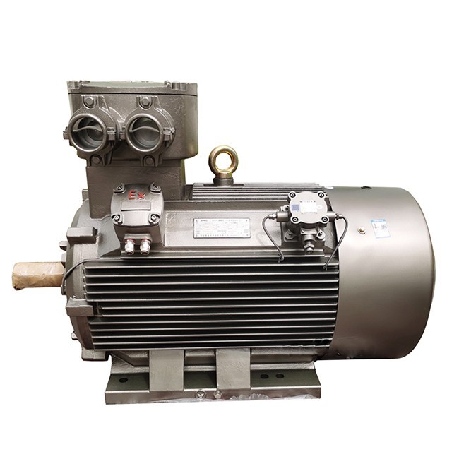 Flameproof Mining Motor-6pole2