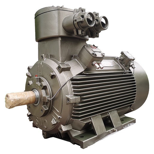 Flameproof Mining Motor-6pole3