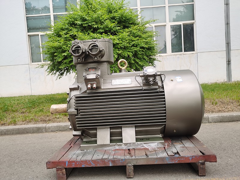 flameproof-mining-motor-6pole1 flameproof-mining-motor-6pole1
